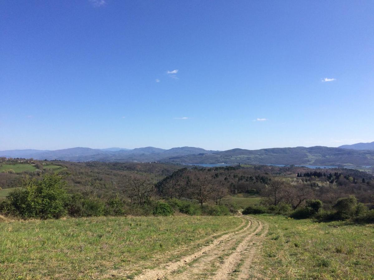 Agriturismo Corzano Barberino di Mugello Εξωτερικό φωτογραφία