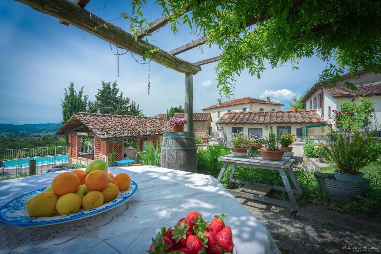 Agriturismo Corzano Barberino di Mugello Εξωτερικό φωτογραφία